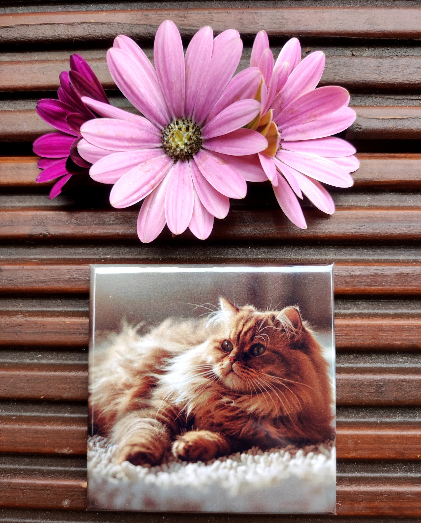 Personalisierte quadratische Fotomagnete 65×65 mm – Set 9 Stück